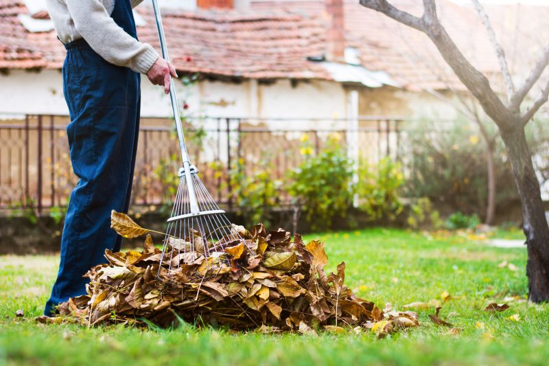 Yard Cleanup After Leaf Removal