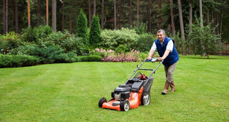 Lawn Care and Maintenance