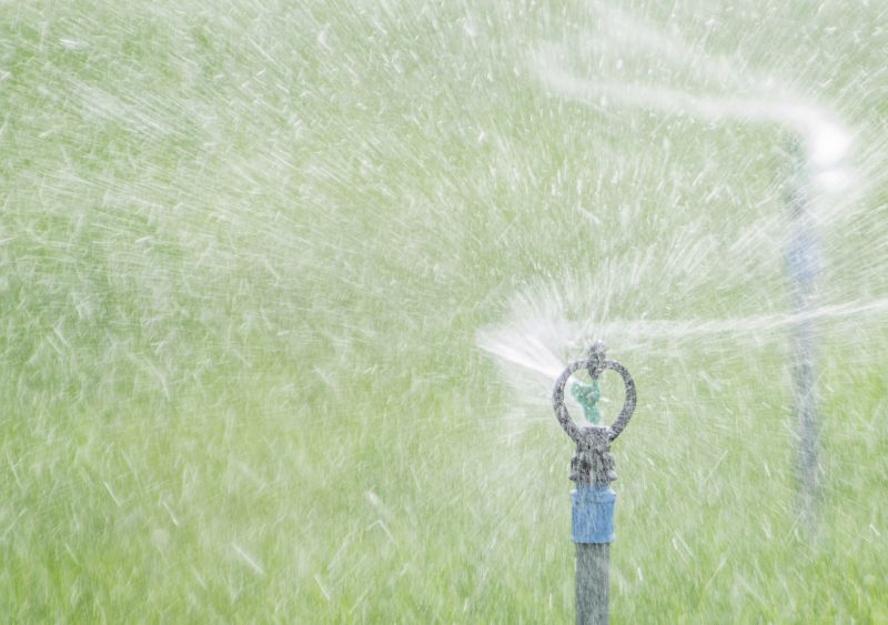 Snow-covered lawn with protected sprinkler heads